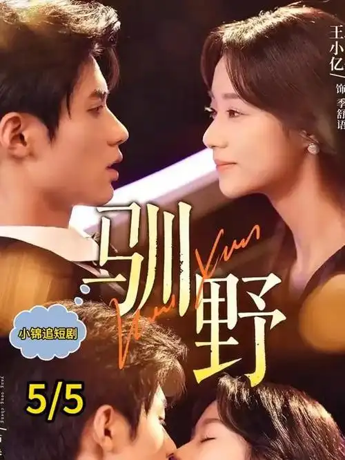 晚风收音机剧照